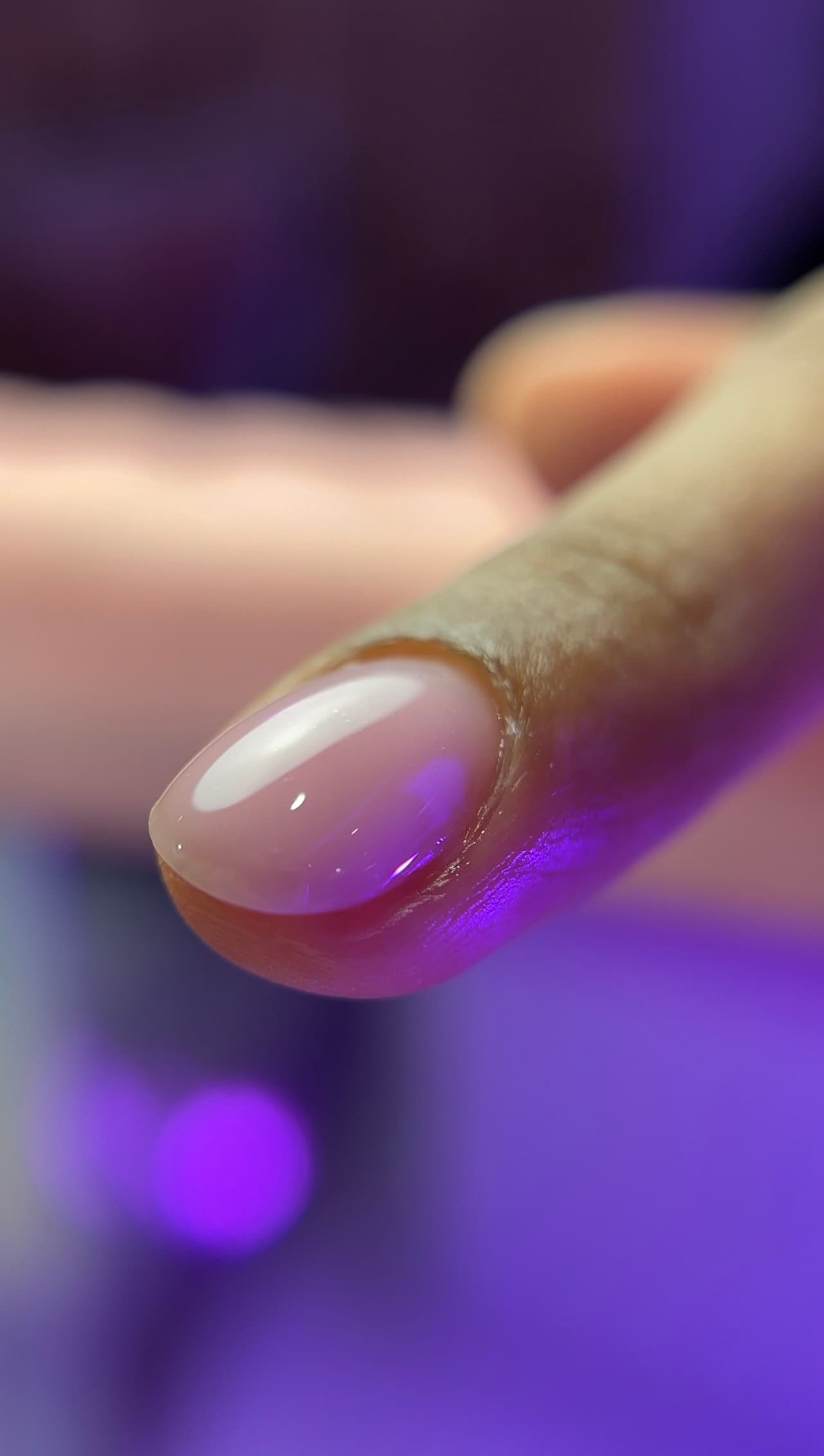 Gel Polish